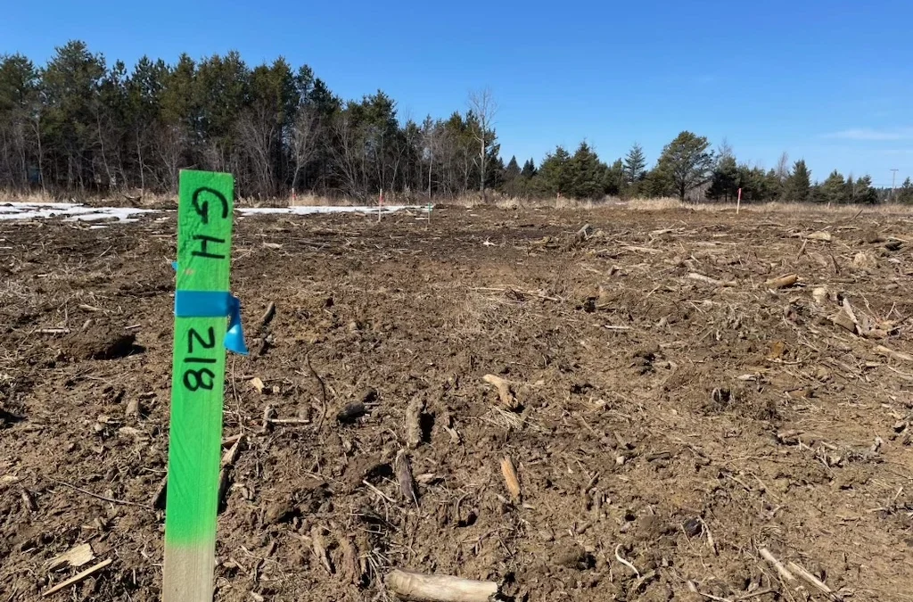 First Stakes Mark Visible Progression