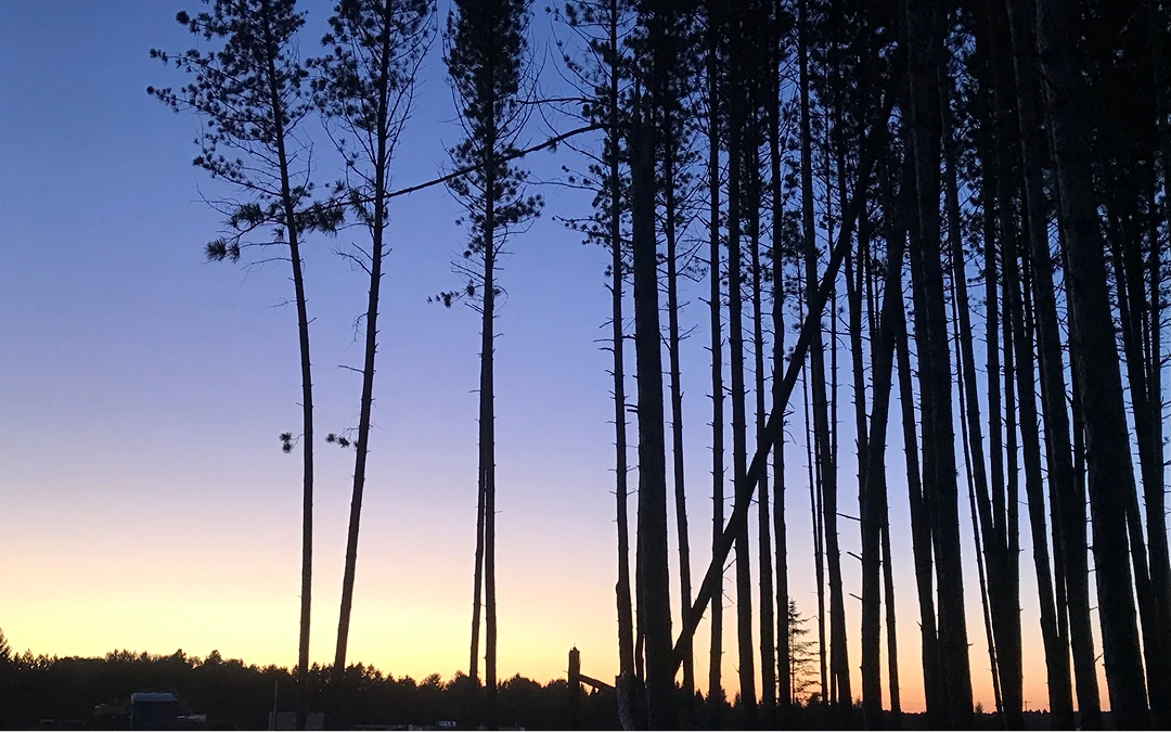 Why the Name ‘Pennock Village’?