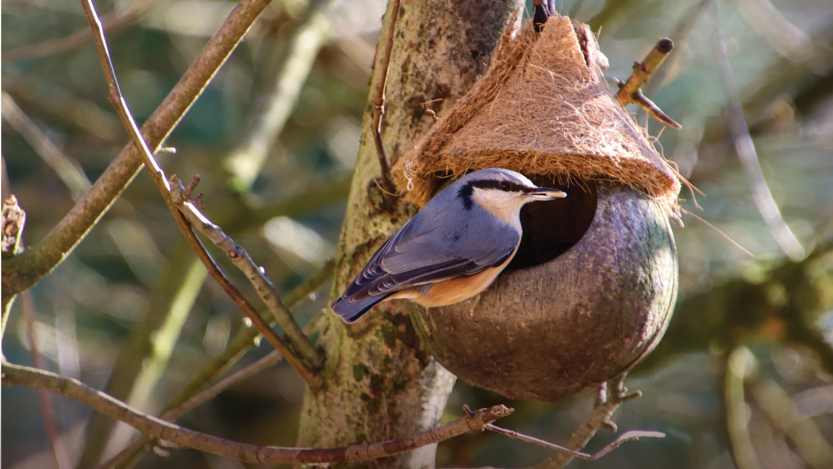 Garden Homes progress in December 2025