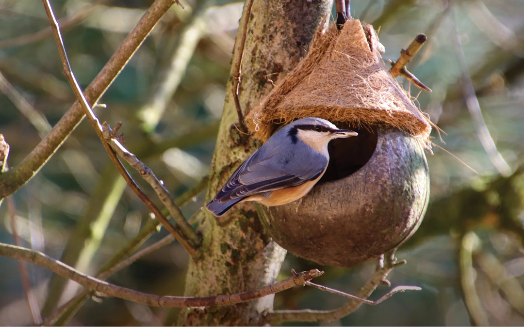 Understanding Life Leasing