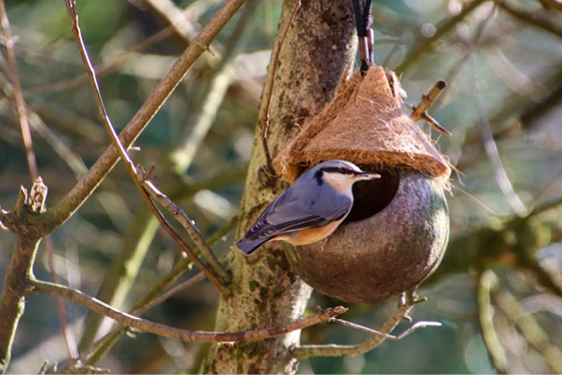 Understanding Life Leasing